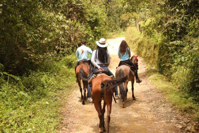 Horseback Riding in the Beautiful Mountains of Medellin - Horseback Riding Highlights