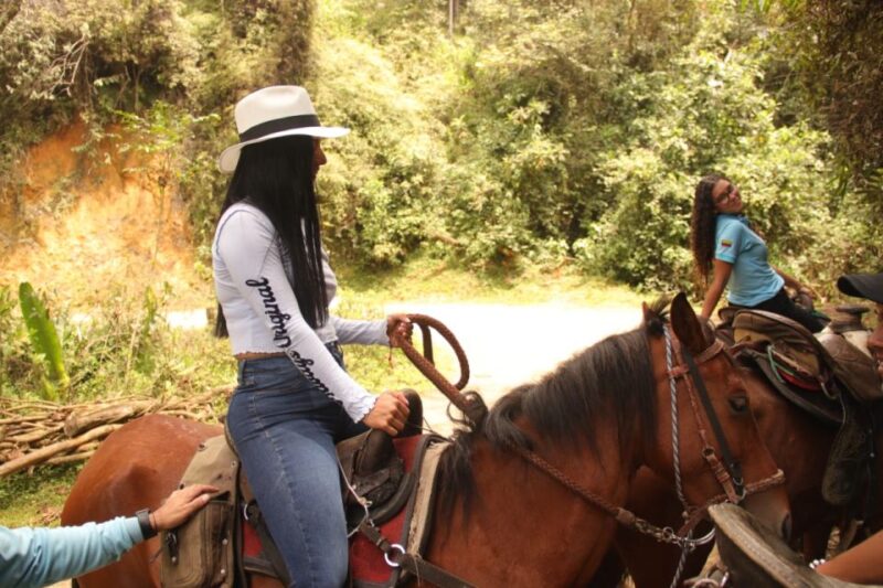 Horseback Riding in the Beautiful Mountains of Medellin - Customer Ratings and Reviews