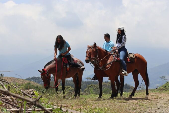 Horseback Riding in the Beautiful Mountains of Medellin - Tips for a Great Adventure
