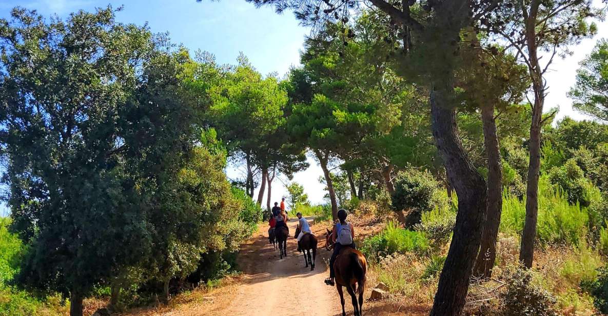 Horseback Riding in the Castelsardo Area - Key Points