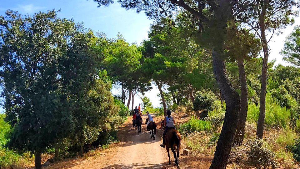 Horseback Riding in the Castelsardo Area - Connection With Sardinias Beauty