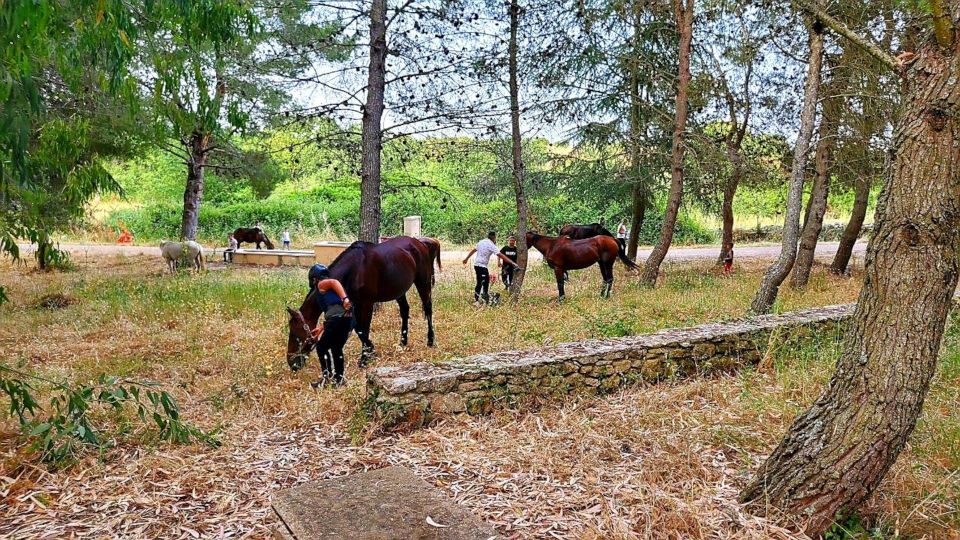 Horseback Riding in the Castelsardo Area - Equipment and Insurance Provided
