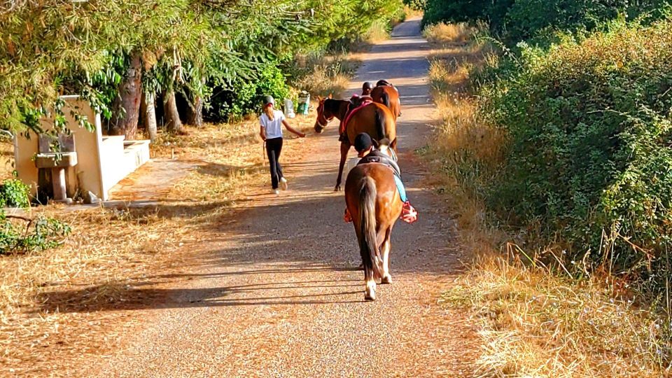 Horseback Riding in the Castelsardo Area - Suitable Age and Mobility Requirements