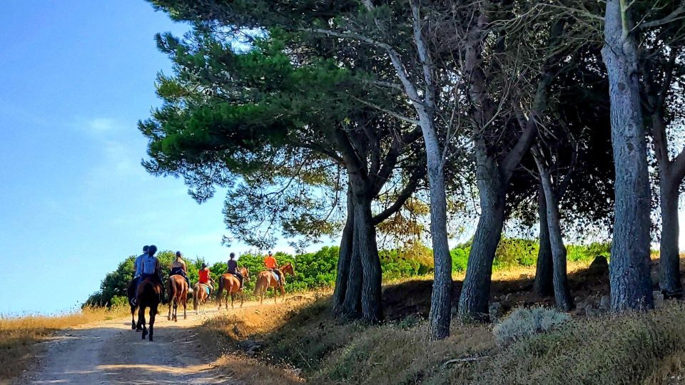Horseback Riding in the Castelsardo Area - Booking and Cancellation Policy