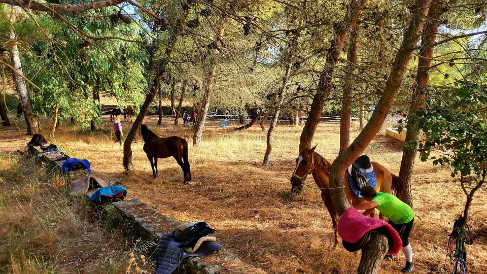 Horseback Riding in the Castelsardo Area - Frequently Asked Questions