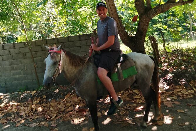 Horseback Riding in the Dominican Countryside from Puerto Plata - A Balanced Perspective  