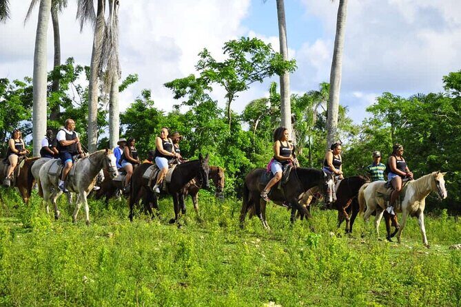 Horseback Riding in the Dominican Jungle - Final Words