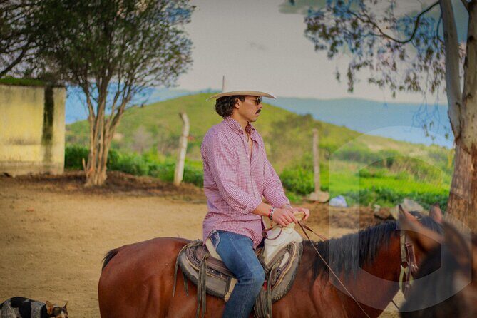 Horseback Riding in the Guanajuato Hills - The Highlight: Stunning Views and Easy Riding