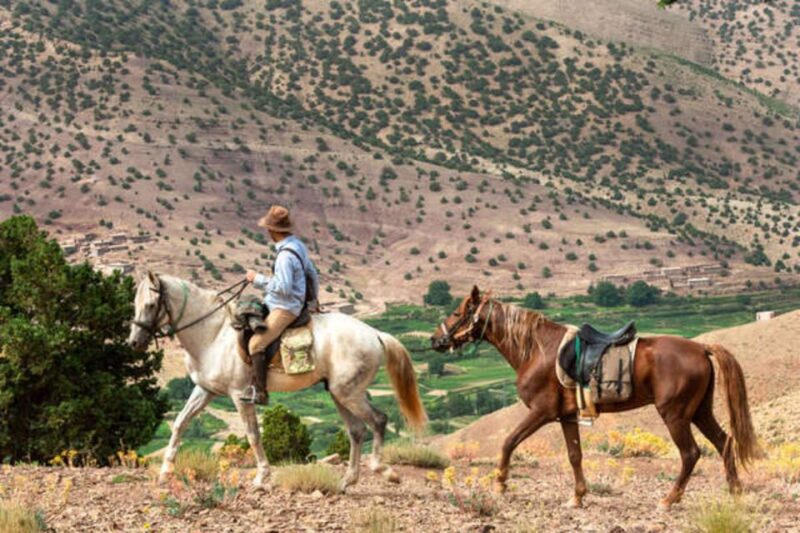 Horseback Riding in the High Atlas Mountains With Overnight - Itinerary and Experience