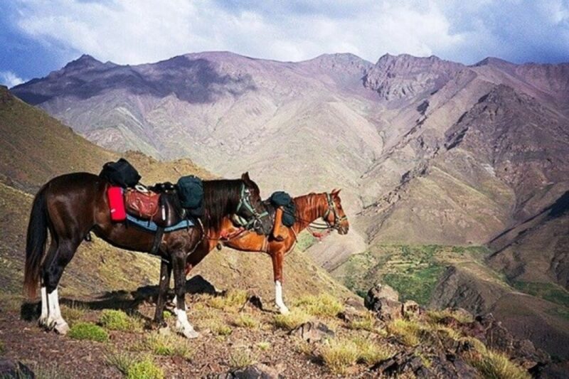Horseback Riding in the High Atlas Mountains With Overnight - Horseback Riding Details