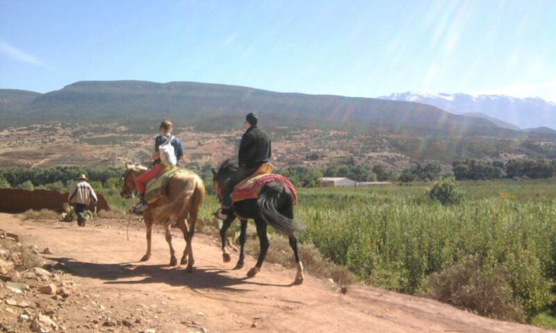 Horseback Riding in the High Atlas Mountains With Overnight - Transportation and Accommodation