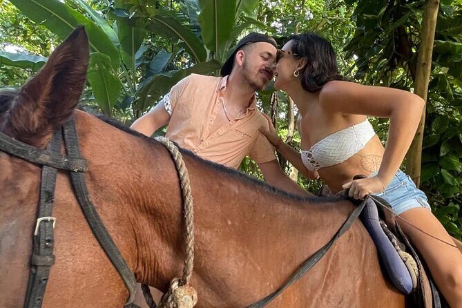 Horseback Riding In The Ocean from Montego Bay Private Transfer - Final Thoughts: Who Is This Tour Best For?