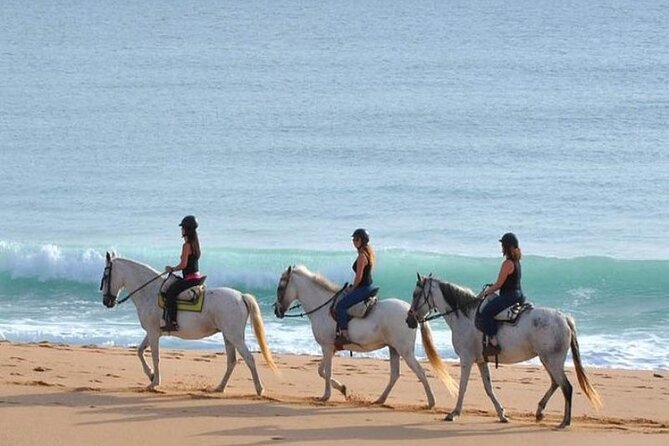 Horseback Riding in the Sunset of Famara Beach, Lanzarote, Spain - Exceptional Customer Feedback and Pricing