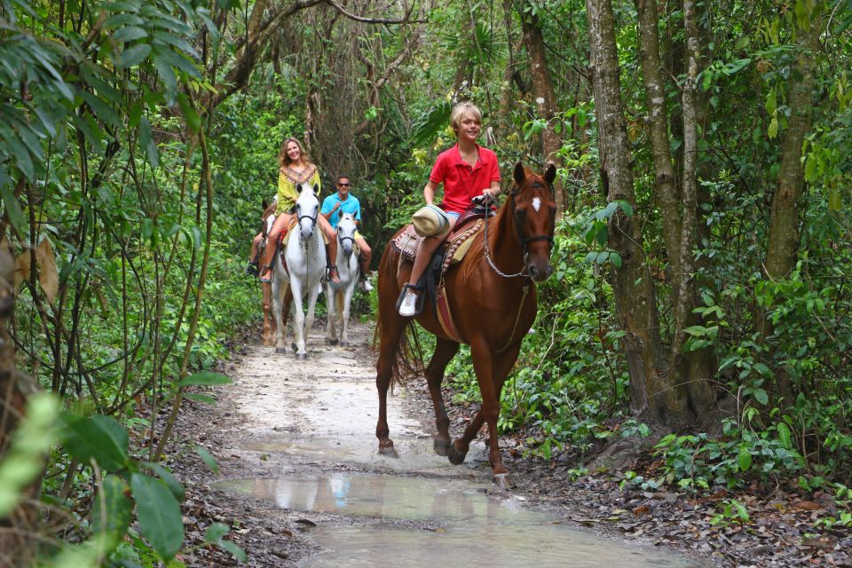 Horseback Riding in the Tropical Jungle - Encountering Mangroves and Cenotes