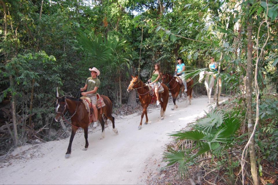 Horseback Riding in the Tropical Jungle - Tour Highlights and Exclusions