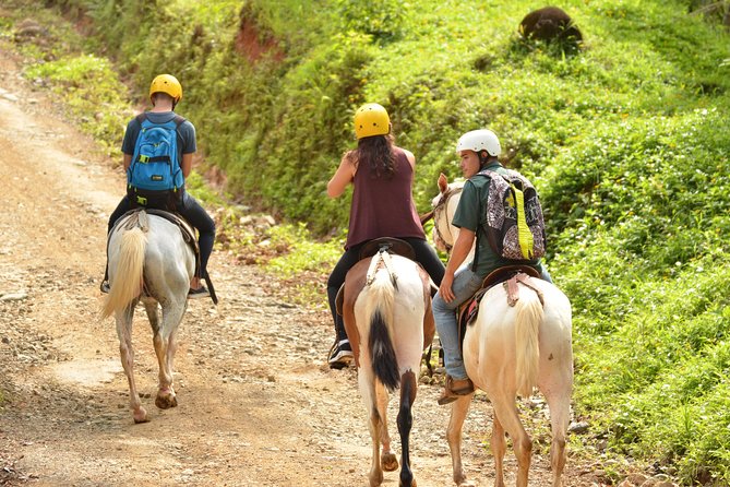 Horseback Riding Jaco - What to Expect