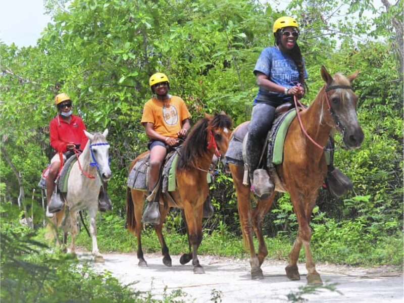 Horseback Riding Macao Beach Experience Paradise onHorseback - An In-Depth Look at the Horseback Riding Tour