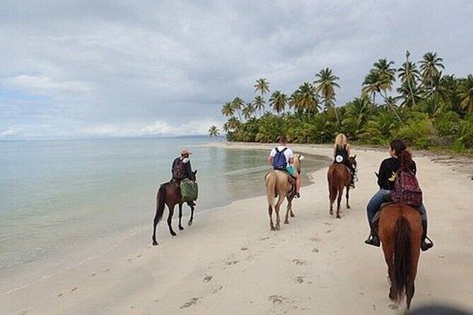 Horseback Riding on Punta Cana Beach with Transportation - Who Should Consider This Tour?