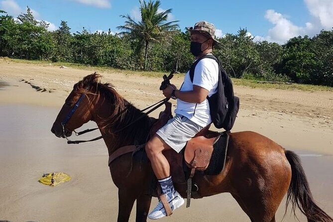 Horseback Riding on the Beach - The Experience in Detail