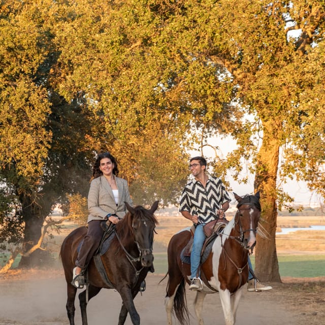 Horseback Riding On The Beach At Sunset - Introduction: A Gentle Ride into Portugal’s Coastal Charm