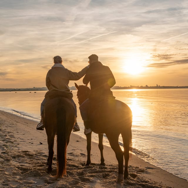 Horseback Riding On The Beach At Sunset - What to Expect: First-Time Riders and Scenic Beauty