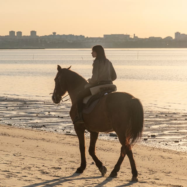 Horseback Riding On The Beach At Sunset - Who Will Love This Experience?
