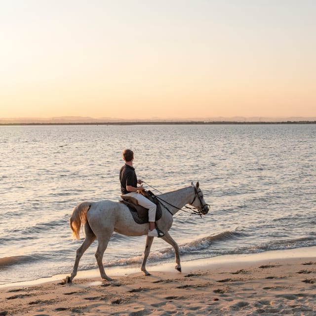 Horseback Riding On The Beach At Sunset - The Sum Up: A Relaxed, Scenic Ride for First-Timers and Nature Lovers