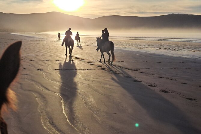Horseback Riding on the Beach From Ensenada - Desert Trails and Beach Rides