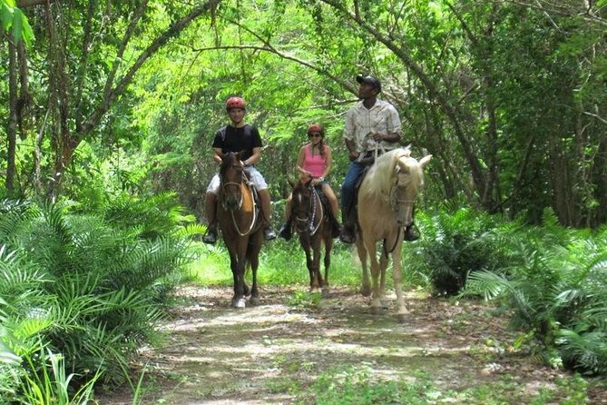 Horseback Riding on the Beach in Punta Cana (One Hour) - Activity Description