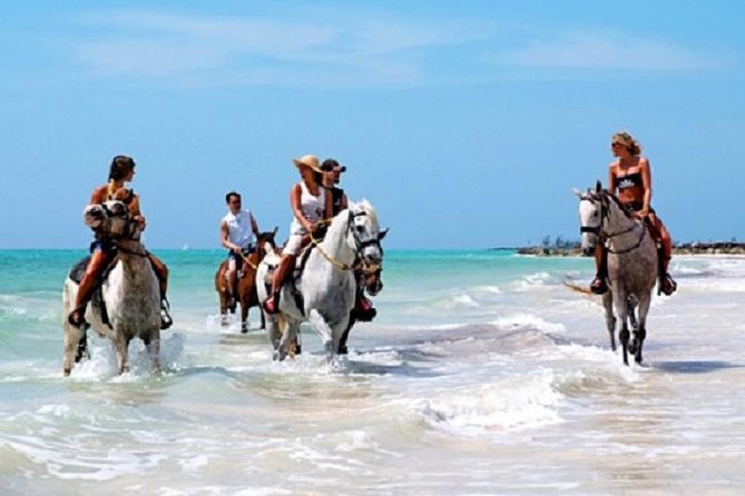 Horseback Riding on the Beach in Punta Cana (One Hour) - Safety Precautions