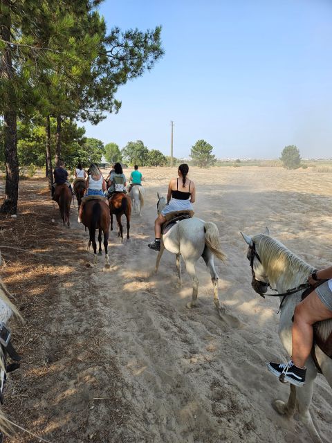 Horseback Riding on the Beach - Location and Meeting Point