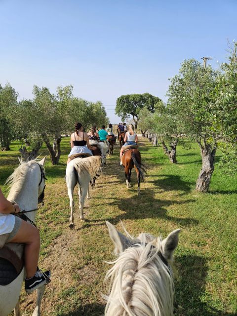 Horseback Riding on the Beach - Frequently Asked Questions