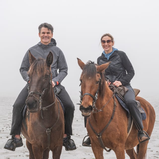 Horseback Riding On The Beach + Tapas + Photo Report - PDT - Final Thoughts: Who Is This Tour Best For?
