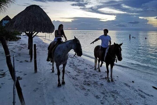Horseback Riding on the Beaches of Holbox - The Experience in Detail