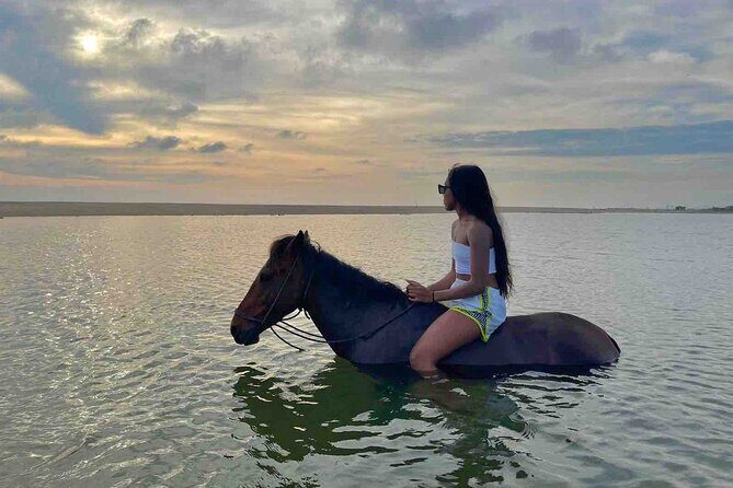 Horseback Riding on the Beaches of Holbox - FAQ