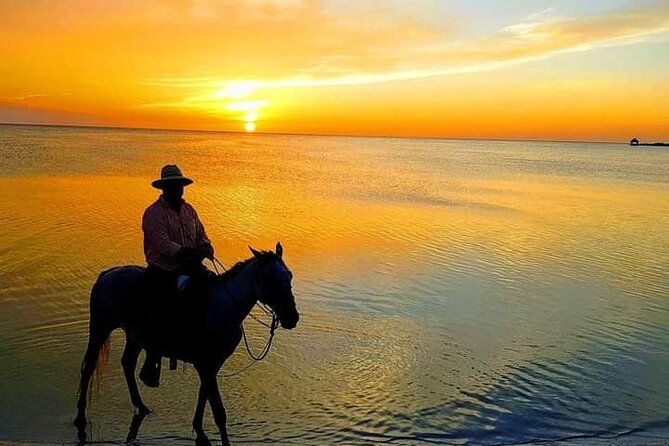 Horseback Riding on the Beaches of Holbox - Location and Meeting Point
