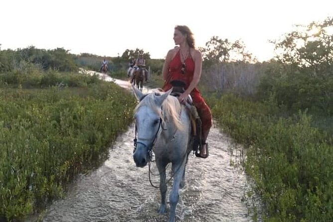 Horseback Riding on the Beaches of Holbox - Pricing and Cancellation Policy