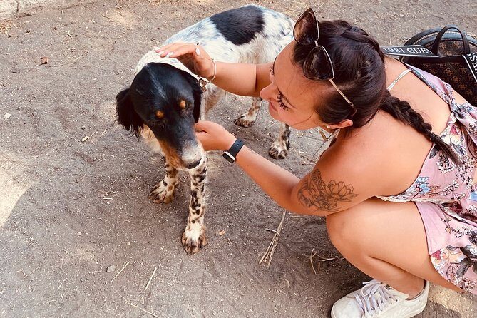 Horseback Riding on Vesuvius - Authentic Experiences and Authentic Scenery