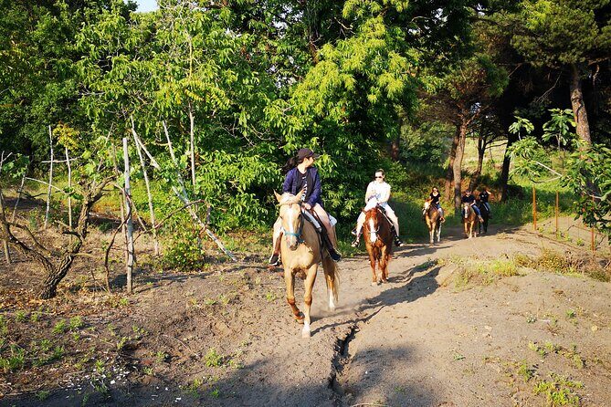 Horseback Riding on Vesuvius - FAQ
