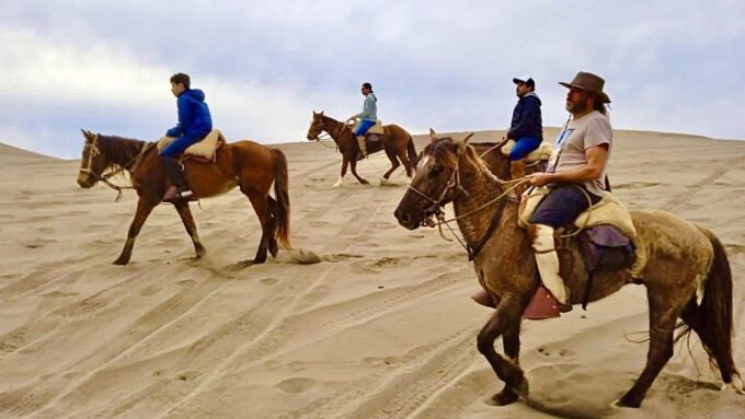 Horseback Riding, Penguins, Winery, Alpacas & Cowboy BBQ - Customer Experiences and Feedback