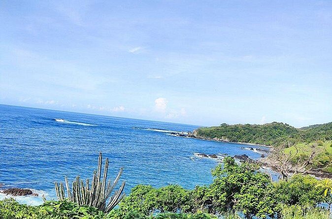 Horseback Riding Playa Larga - Who Will Love This Tour?