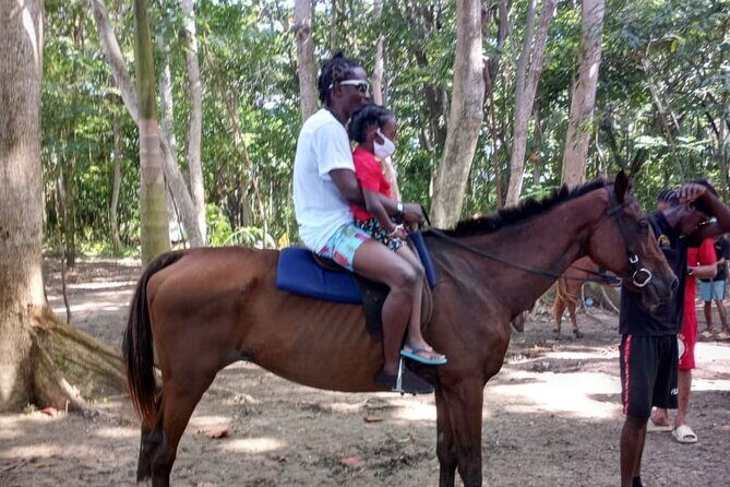Horseback Riding plus Dunns River Falls Combo Private Tour - The Practical Side: Duration, Booking, and Cancellation