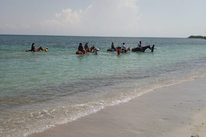 Horseback Riding plus Dunns River Falls Combo Private Tour - The Real Experience: What Travelers Say