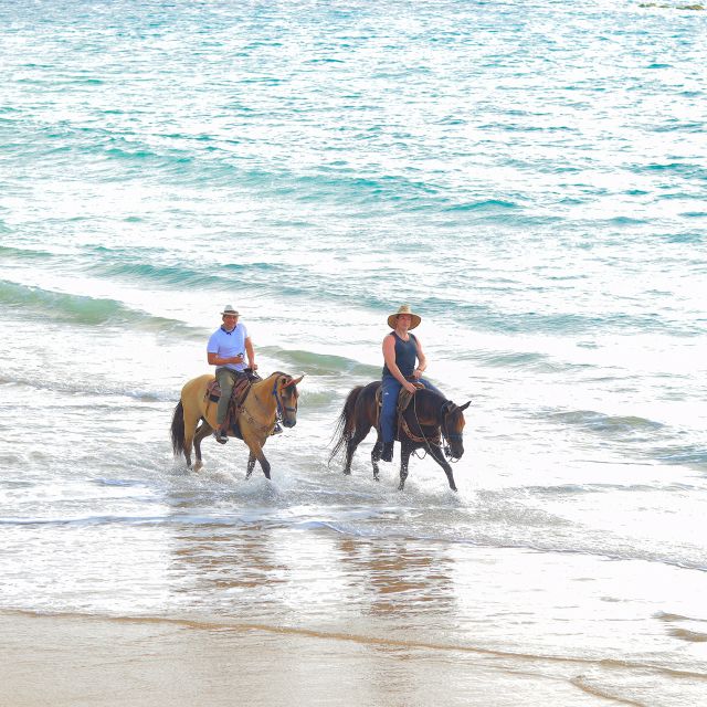 Horseback Riding - Arrival Time and Check-in