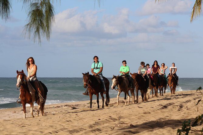Horseback Riding through Secluded Beaches and Tropical Forests - Horseback Riding through Secluded Beaches and Tropical Forests: An Honest Review