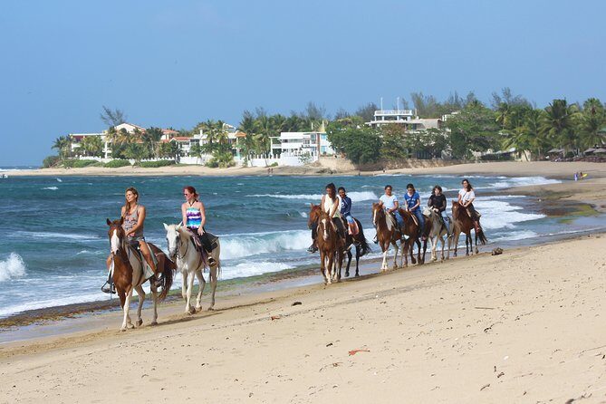 Horseback Riding through Secluded Beaches and Tropical Forests - Practical Details and Considerations