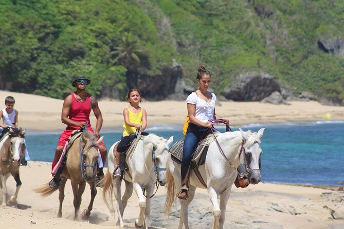 Horseback Riding through Secluded Beaches and Tropical Forests - The Experience: First-Timers and Photo Opportunities
