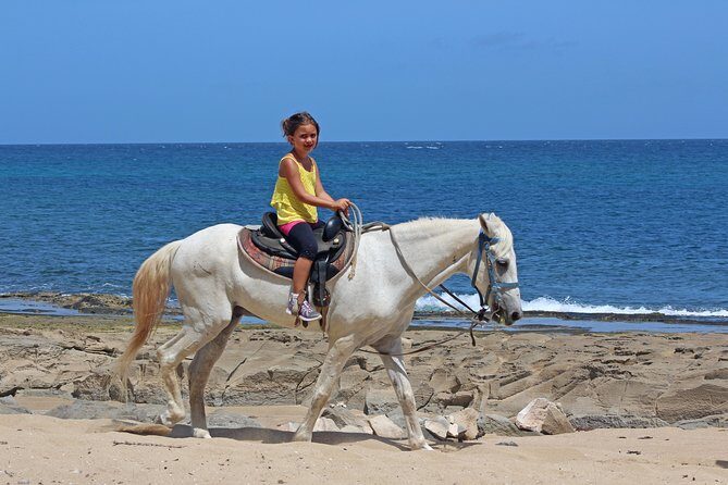 Horseback Riding through Secluded Beaches and Tropical Forests - For Whom Is This Tour Best?