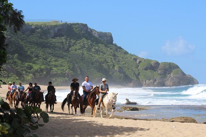 Horseback Riding through Secluded Beaches and Tropical Forests - The Sum Up