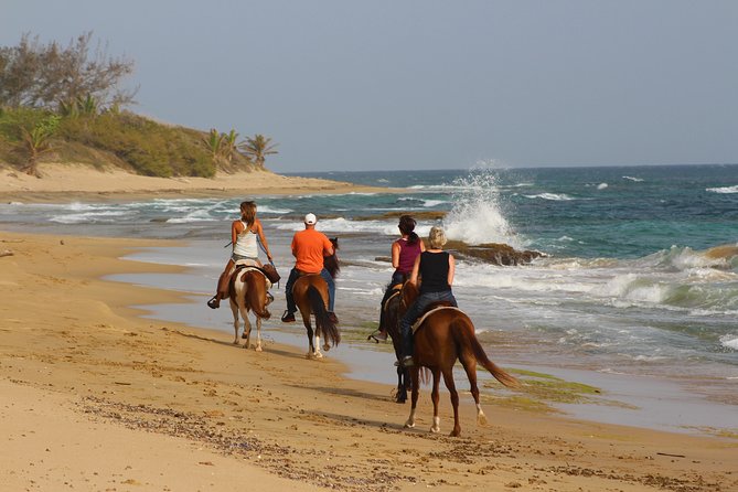Horseback Riding Through Secluded Beaches and Tropical Forests - Confirmation and Accessibility